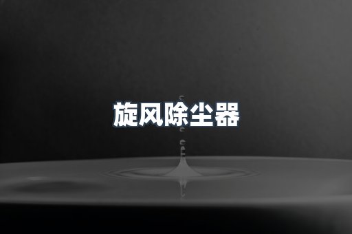 旋风除尘器